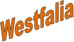 Beleuchtung-Elektrik Westfalia